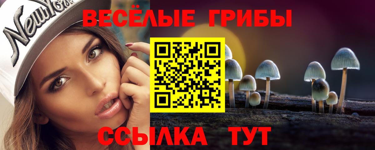 Галлюциногенные грибы Magic Shrooms  Вход с VPN  Псилоцибиновые грибы Psilocybine cubensis  Щёкино 
